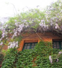 Trastevere romantic apartment - Vicolo del Piede