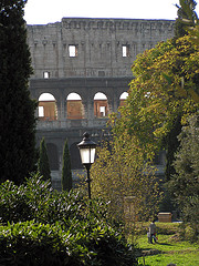 rome colosseum view