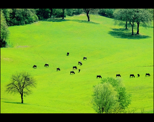 umbria-valley.jpg
