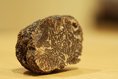 truffles.jpg