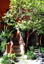 rome city center apartment