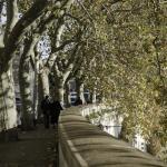 Couple walking along the Tiber
